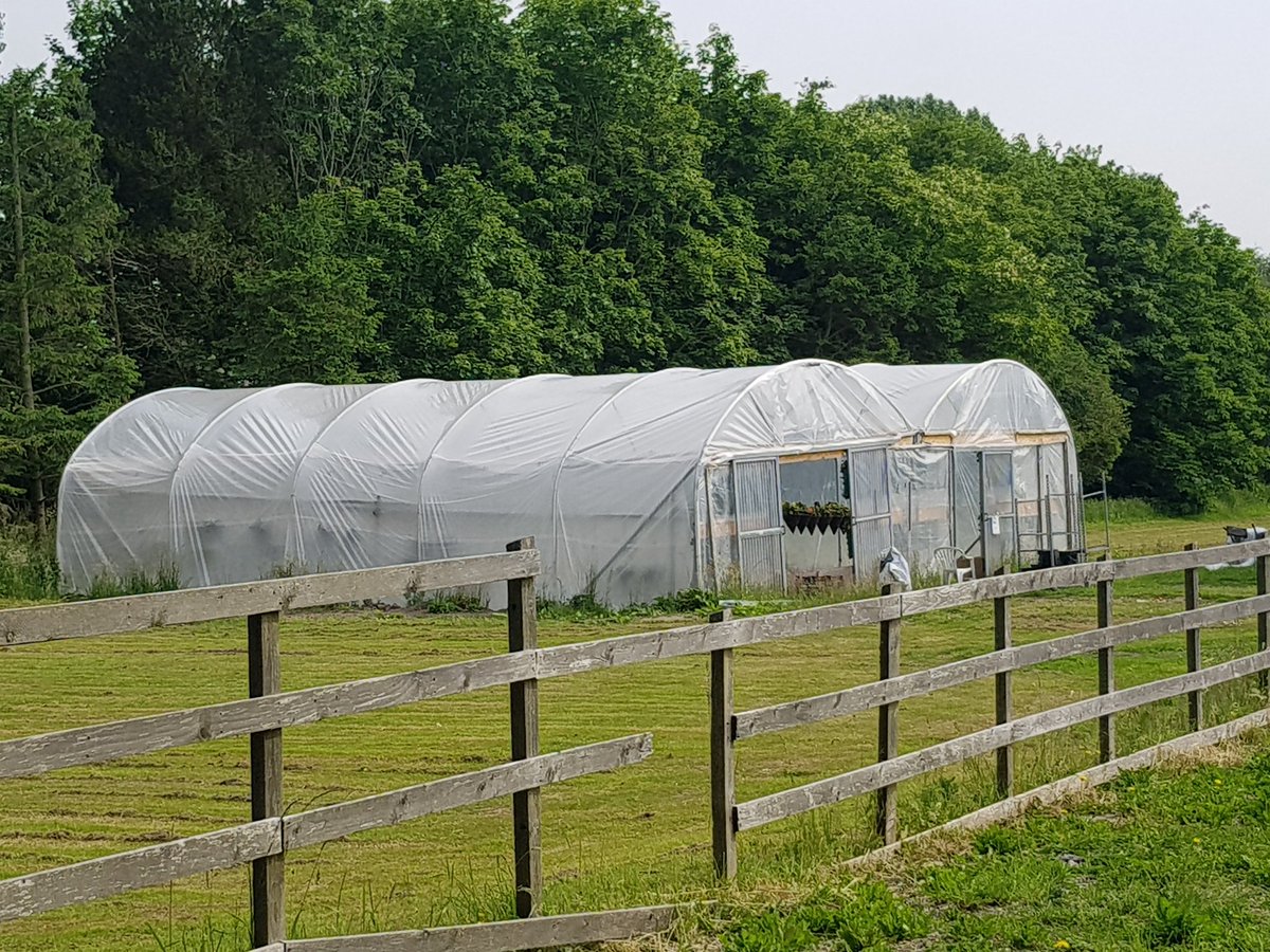 PolytunnelSteve's tweet photo. mmm this #polytunnel  construction  lark may not be as easy  As it looks! https://t.co/jsZAS0MNXI