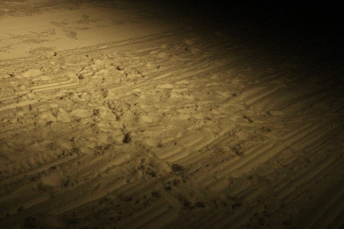 radioparleur's tweet photo. #REPORTAGE Dans les Alpes, les neiges fondent et révèlent les corps de celles et ceux qui ont tenté de passer la frontière en vain... Dans ce 3e épisode dédié aux #migrants, on vous embarque dans une maraude en haute-montagne.

A lire et écouter ICI : 👉 https://t.co/cvP2az4pft👈 https://t.co/B2mBVPuKPZ