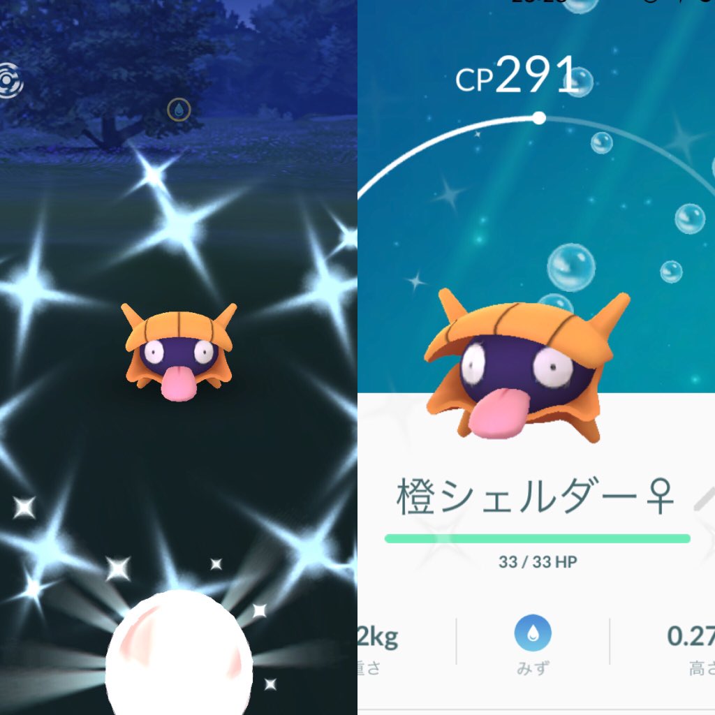 色違いシェルダー 色違いシェルダー