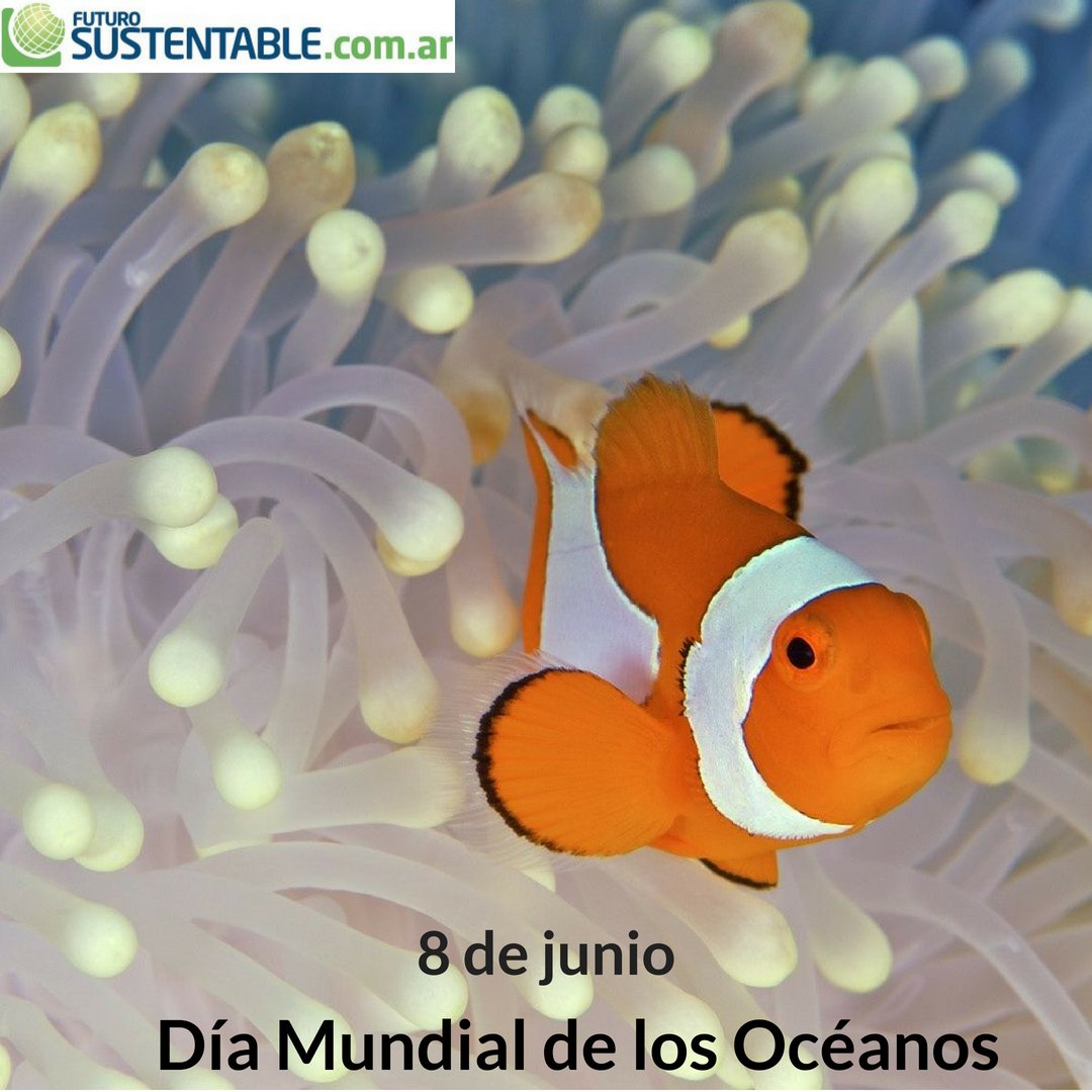 FSustentable's tweet photo. El 80% de la contaminación en los océanos es causada por los seres humanos. Respetemos y cuidemos la vida marina usando menos plástico y reciclando #DiaMundialDeLosOceanos #SalvemosLosOcéanos #FSustentable https://t.co/4Fjgs1ZTT3