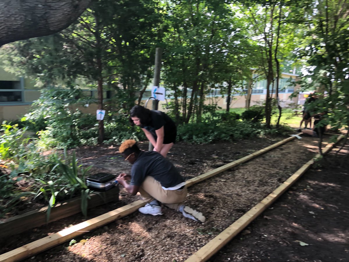 InterboroSTEM's tweet photo. Exploring the gardens at Norwood while breaking into break out boxes https://t.co/mDyxydnLC7