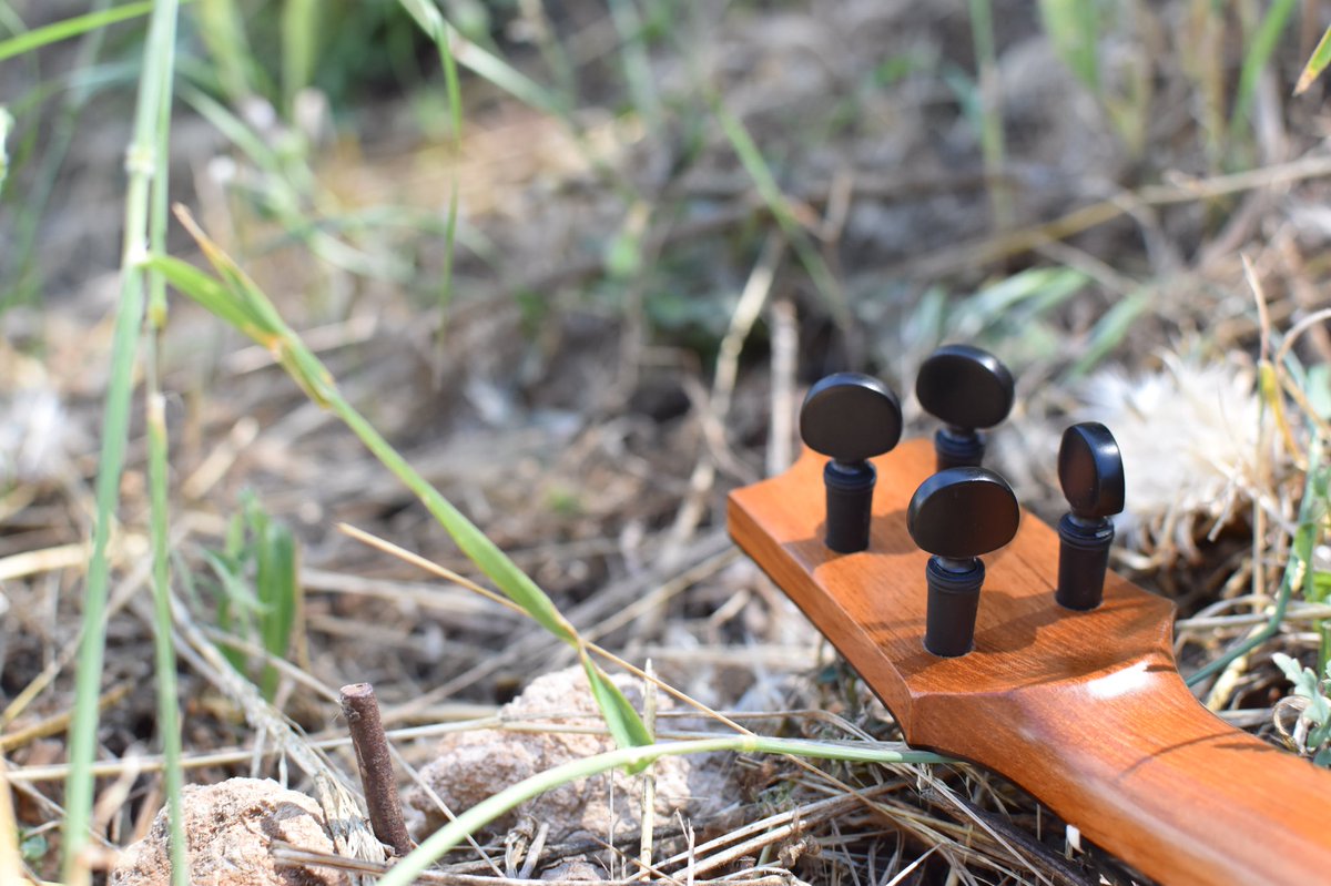 Ukulelezeit.de tweet media