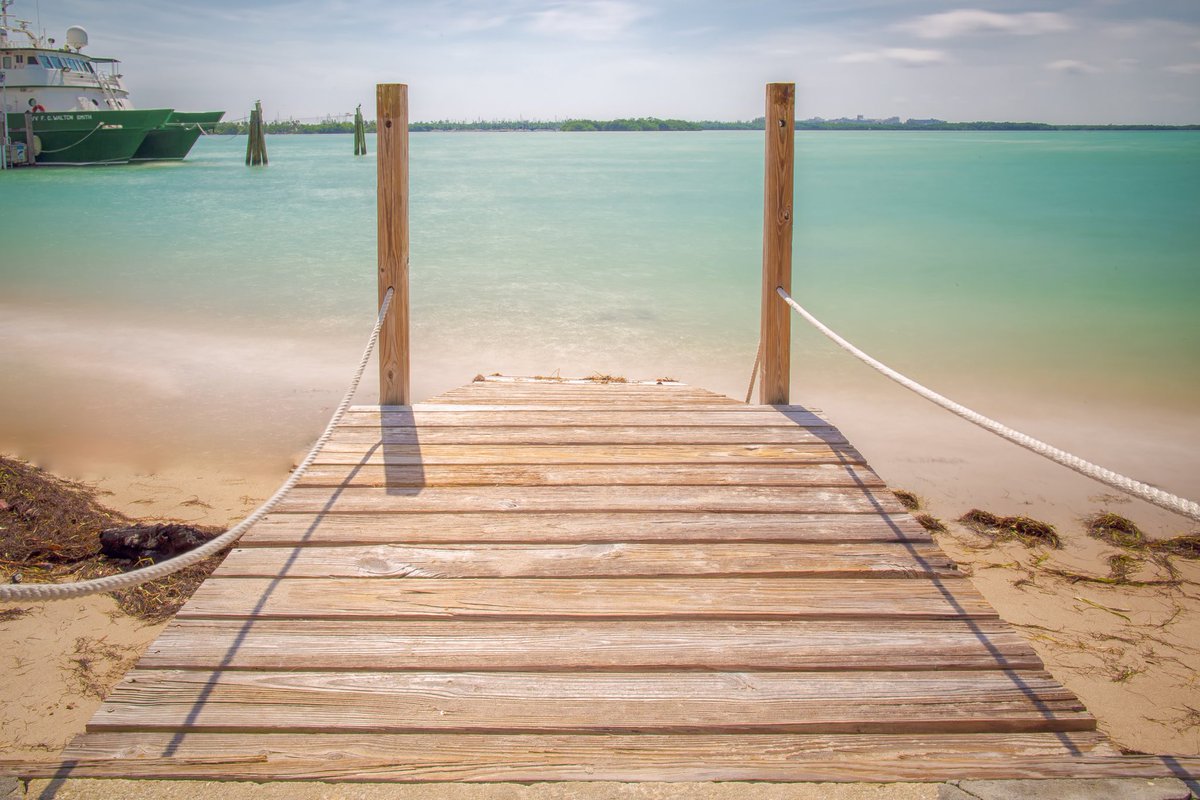 LifeAt_TheU's tweet photo. If youβre lucky enough to work on the @UMiamiRSMAS campus, every day is #worldoceansday! ππβοΈ #insideum #officeview #universityofmiami https://t.co/crdEGm2TMS