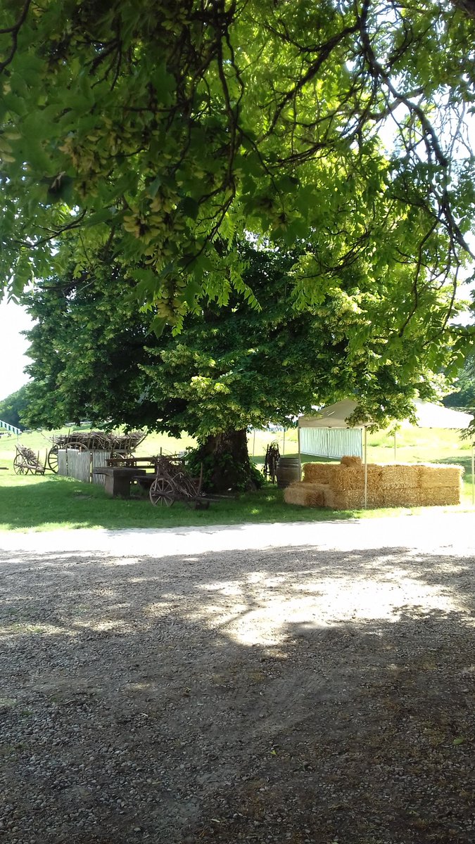 Ce dimanche 10 juin, la Puisaye est à l'honneur avec Campagnes en fête ! 🌼
Animations, exposants, groupes de musique, restauration ... Un événement immanquable dans le parc du château de 10h à 19h 🌳