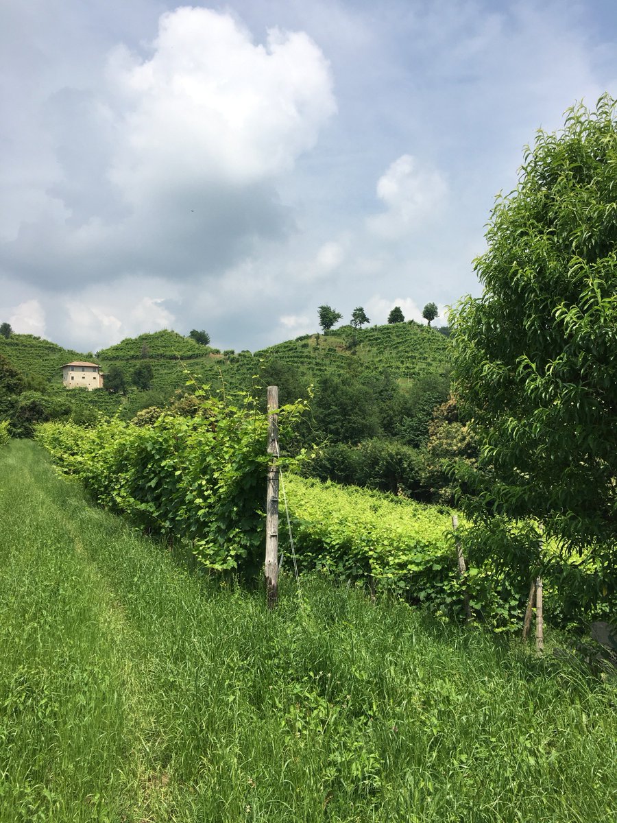 Uscirà finalmente il sole?
Noi speriamo tanto di sì! Ci aspetta un weekend pieno di passeggiate in Vigneto Giardino! 😍