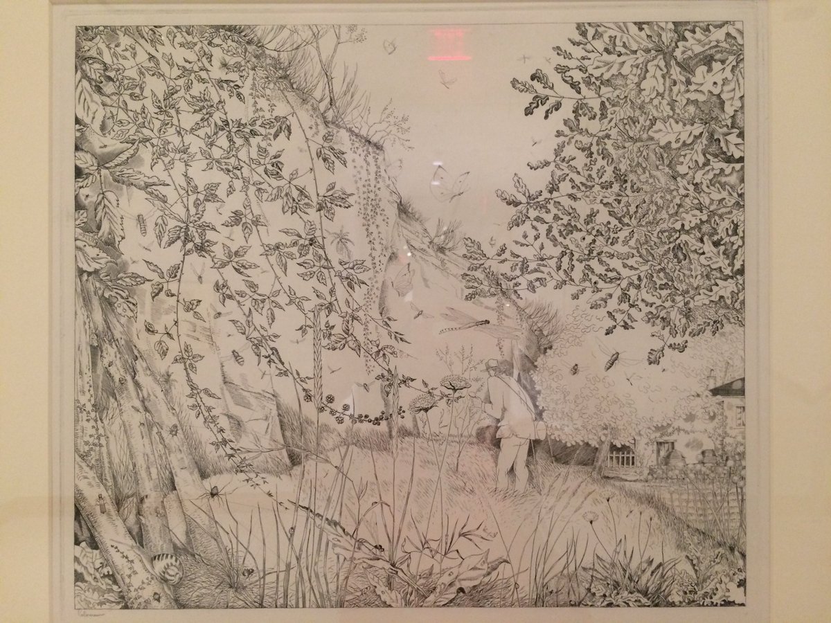 CarolineSChaboo's tweet photo. L'Entomologiste, 1930s engraving by Jean-Emile Labourer, on display now at excellent #BigBotany #exhibition, Spencer Museum of Art https://t.co/oFPIDP2ohX