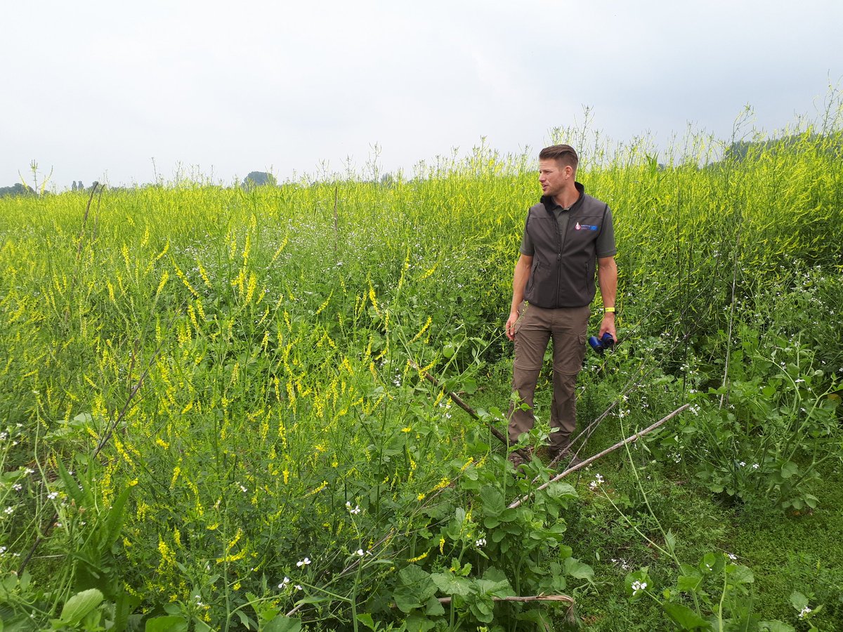 Agrarisch natuurbeheer en internationaal project #PARTRIDGE_NSR leiden zichtbaar tot meer insecten en tot meer akker- en weidevogels.