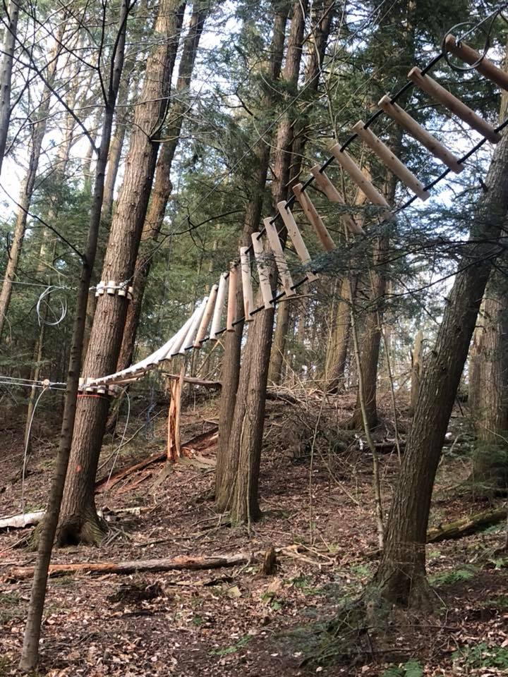 TreeTopEcoPark tweet media