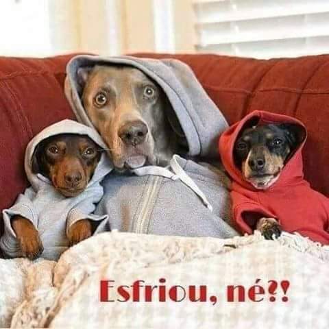 LEOFENIX63's tweet image. 