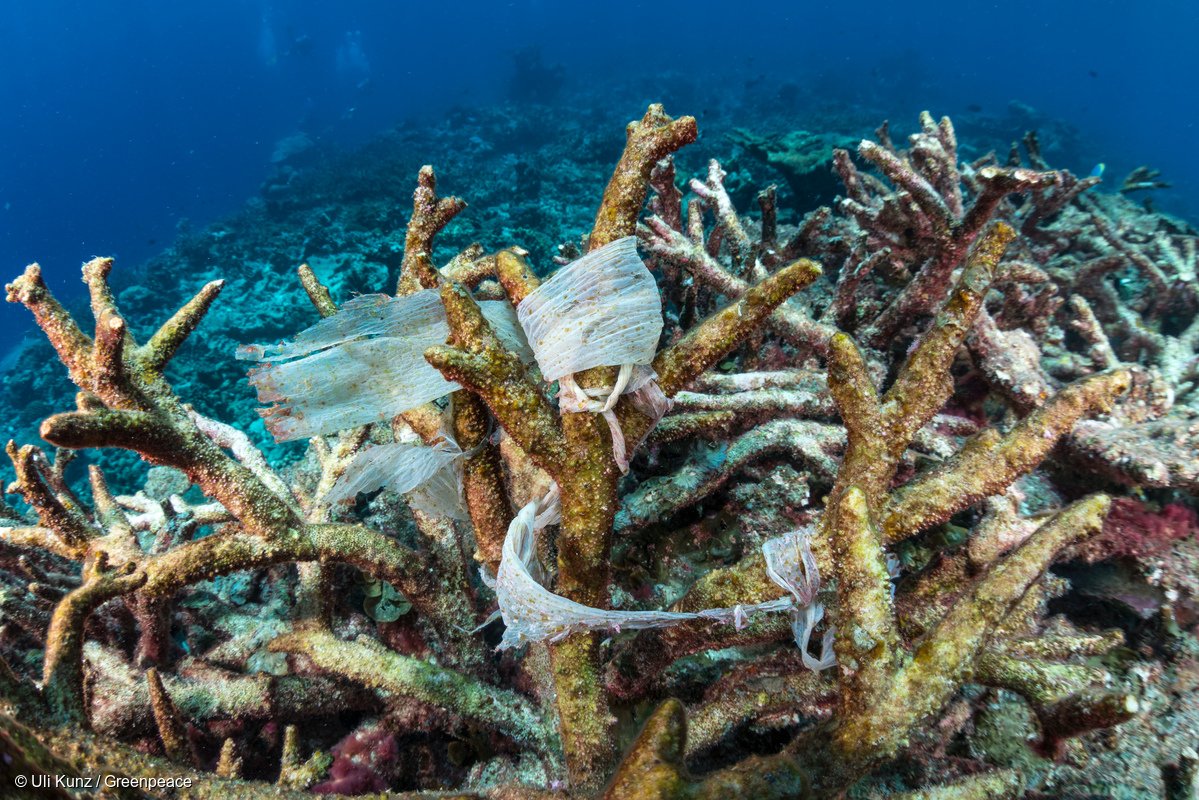 In Pictures: Fighting Plastic Pollution on #WorldOceansDay #EndOceanPlastics >> greenpeace.org.uk/pictures-fight…
