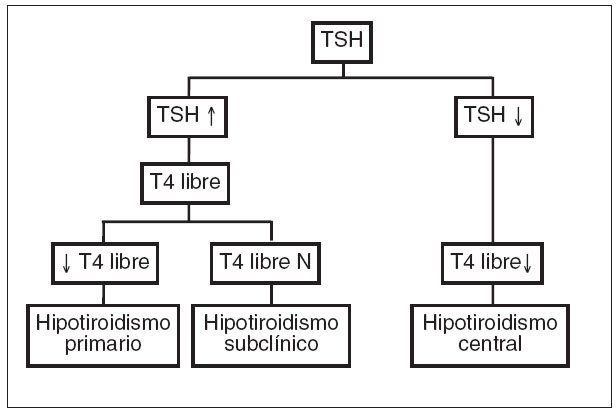 draclaireluces's tweet photo. #ALGORITMO de interpretación de hormonas tiroideas. Hipotiroidismo #medicina #endocrinologia #hipotiroidismo #medtips https://t.co/uhMxgmEmvB