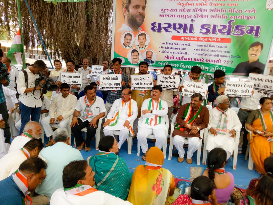 AmitChavdaINC's tweet photo. Kick-started @INCGujarat's 3-day protest from today to seek debt waiver for farmers in Gujarat. - BJP Govt in Gujarat has failed to solve farmers problems - it has made no efforts to ease Livelihoods of farmers, especially Cotton &amp; Groundnut farmers in the state. https://t.co/decwdJ2dOO