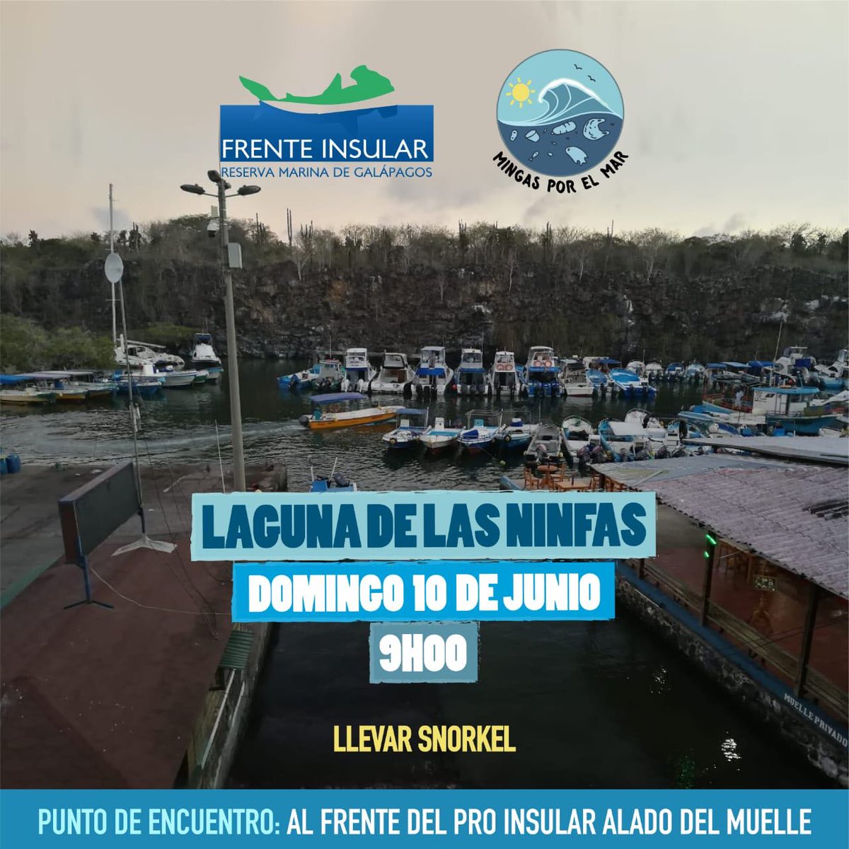 #MingasPorElMar
#GalápagosLimpio
#FrenteInsular 
🚮🚮🚯🚯♻♻🐬🐬🐟🐟🐠🐠🐡🐡
Laguna de las Ninfas
10 junio 📆
09:00 ⌚
Llevar snorkel