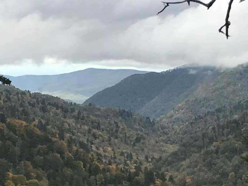 SkyLineGuy93's tweet photo. Great photo taken in Gatlinburg, Tennessee by Melissa Nutt ! ❤

"The reason these mountains are called "The Smokies""

 #gatlinburg #tennessee #sky #clouds #mountains #thesmokies #travel #skylineguy #stormhour #thephotohour https://t.co/eDDMoLB44o