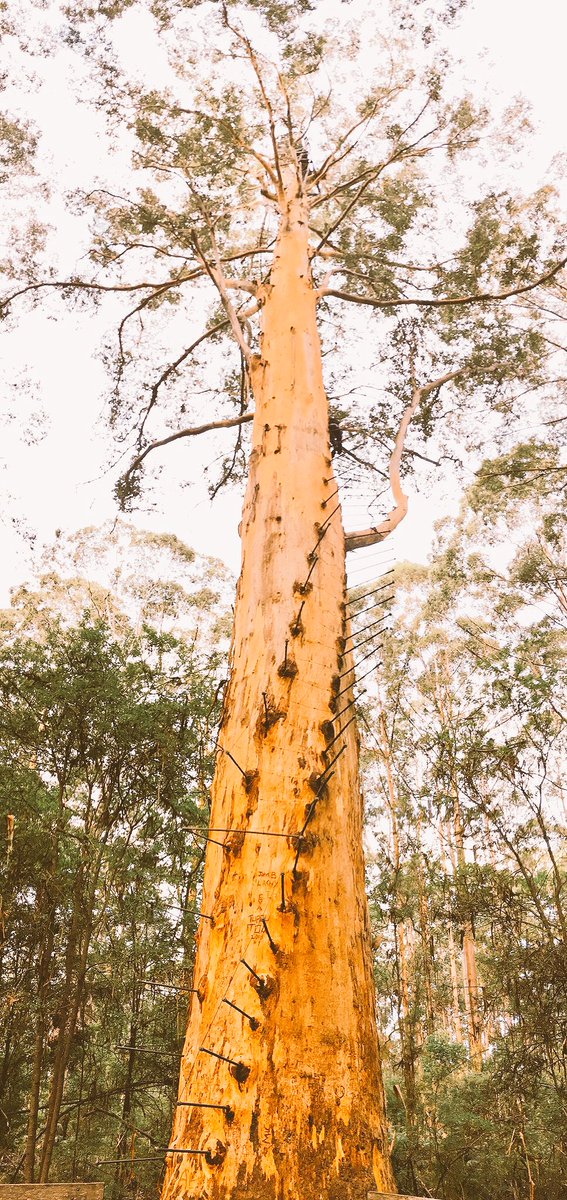 KorpelIsabeau's tweet photo. Looking for purpose keeps spiraling up. Just imagine the view at the top! #coachingforclarity https://t.co/CrWS3FW4J2