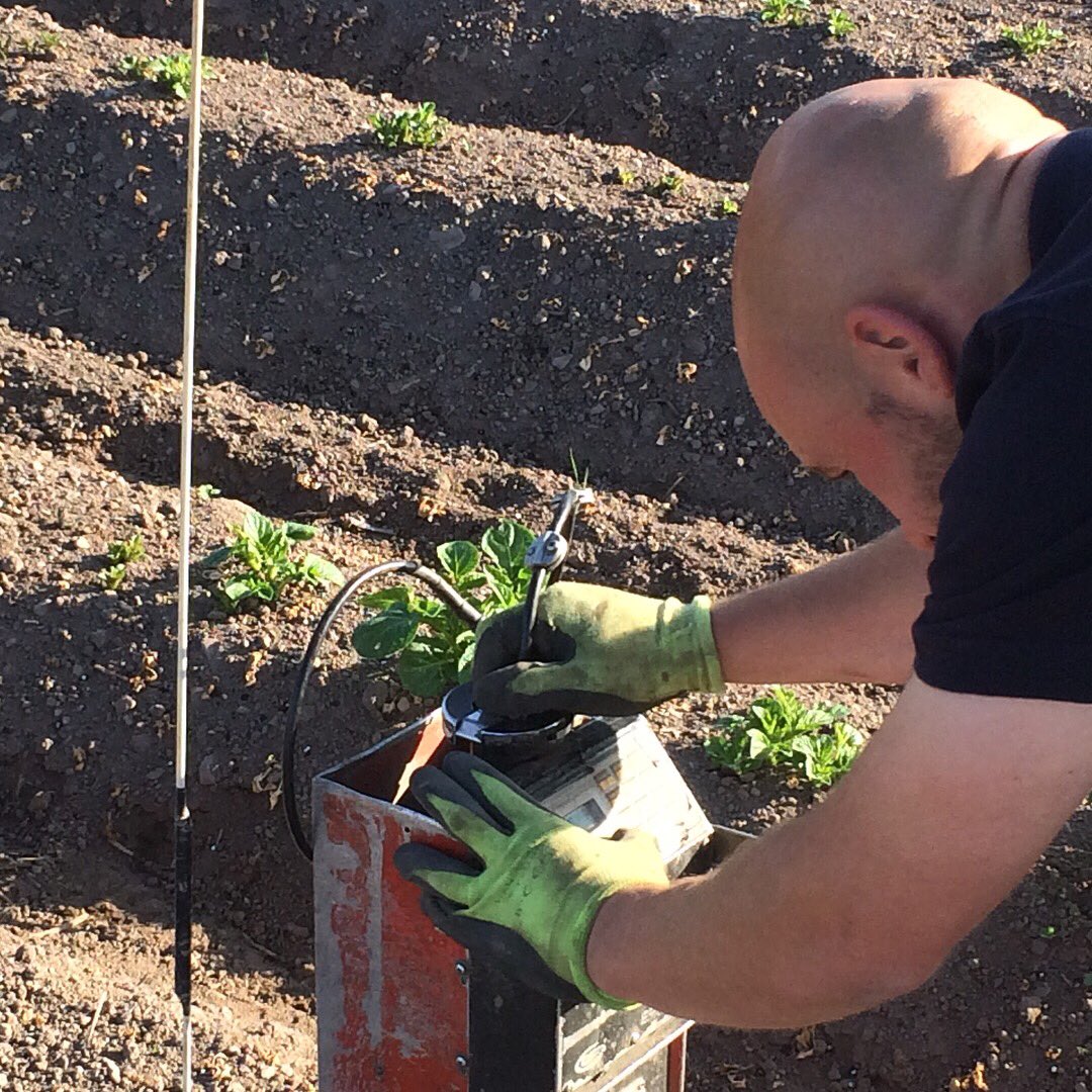 It's thirsty work for our tiny tatties! 🥔 🥔 Here's the irrigation 💦being setup to keep them suitably refreshed! Another very important stage in our vodka process. These potatoes will be keeping you all refreshed and hydrated later in the year! 🍸#madefromscratch #fieldtobottle