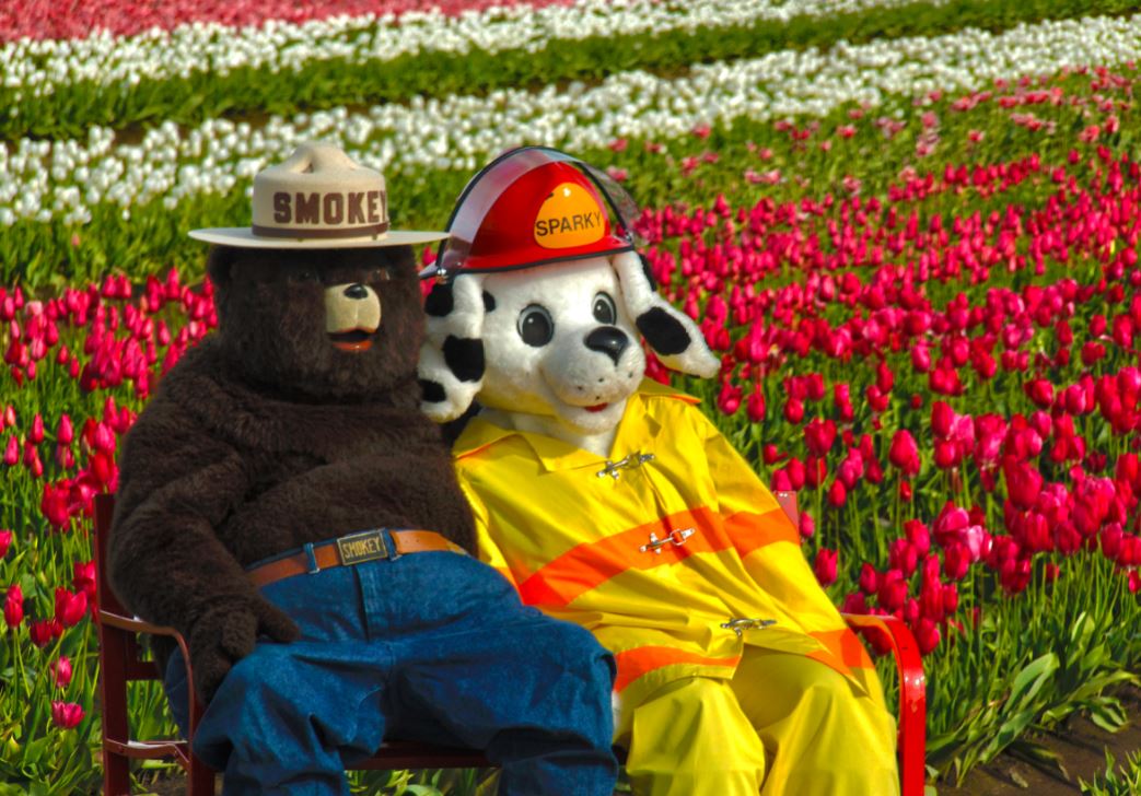 Sparky the Fire Dog tweet media