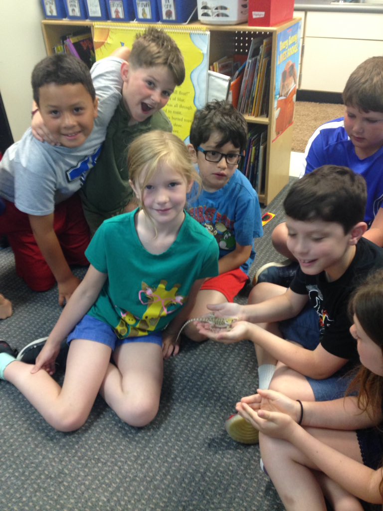 LynnetteS123's tweet photo. Learning about Lila's new bearded dragon! https://t.co/GZQAUSlWfD
