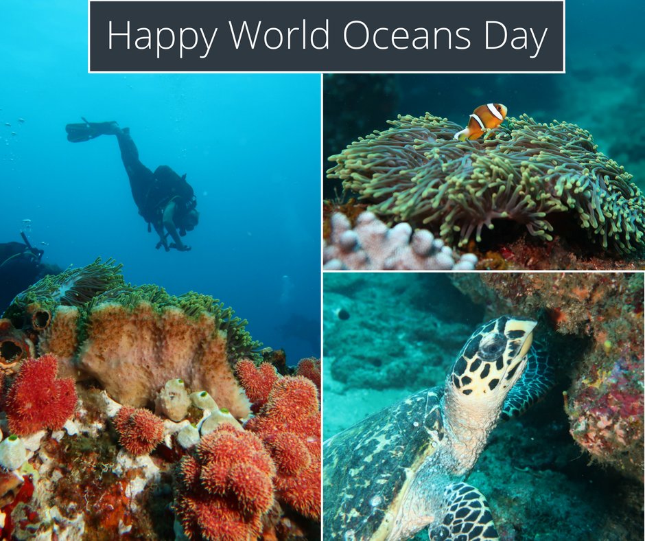 Happy #WorldOceansDay2018! Why not do your bit and sign up to help marine conservation in South Africa and Madagascar... learn more here bit.ly/2sOwNwt 
#marineconservation #scuba #diving #helptheocean #volunteer #gapyear #theleap #leapmadagascar #leapsouthafrica