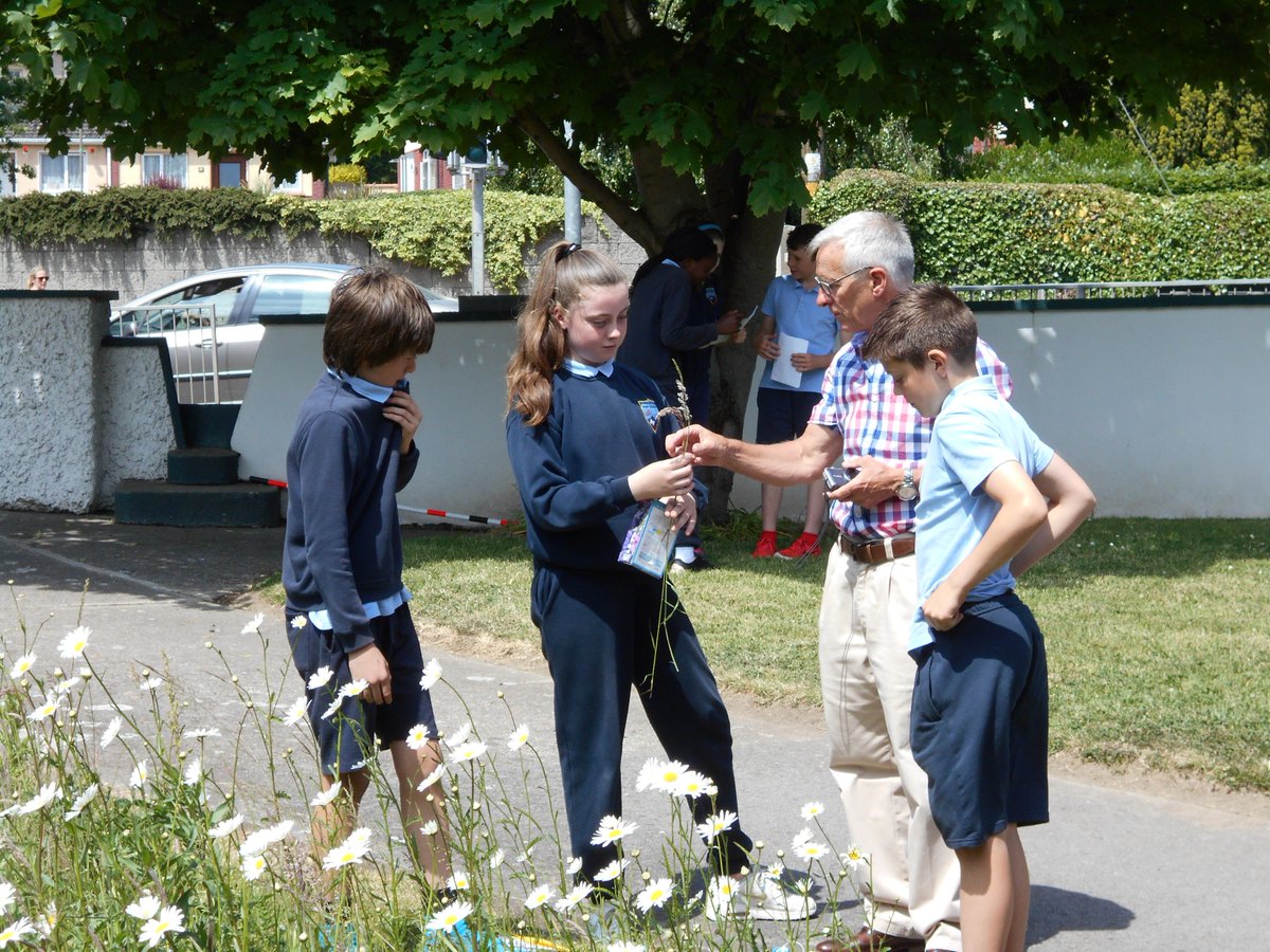 Congratulations to our pupils on being awarded Level 5 in the <a href="/meathcoco/">Meath County Council</a> School Gardening Pride of Place Scheme for the third year in a row (yacon planting included <a href="/PatFitzGerald/">Pat FitzGerald</a> ; ) Thank you to Philip Mc Cormack, our assessor today. <a href="/4thClass_Slane/">Miss O'Brien</a> <a href="/rang2slane/">Rang 2 Slane N.S.</a> <a href="/MrKevinFagan/">Mr Fagan</a>