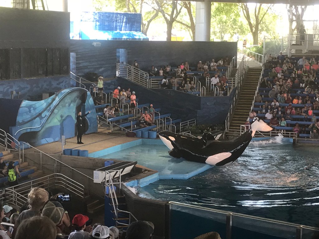 FLMSBraves's tweet photo. Mrs. Gray and her family traveling through the San Antonio TX area. Looks like they are having a great time.  Alamo, Sea World, and the biggest boots I have ever seen. #FLMSROCKS https://t.co/NPWlGNvT5f
