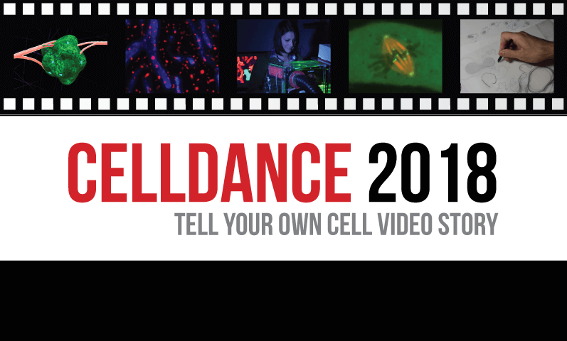 ASCBiology's tweet photo. Share the excitement of your research with the public when you submit a #Celldance proposal! If your lab is chosen you will receive $1,000 to create a video about your science. Deadline is June 15--just one week away! Submit @ https://t.co/S7nO0kkUpP https://t.co/lvel5n72hi