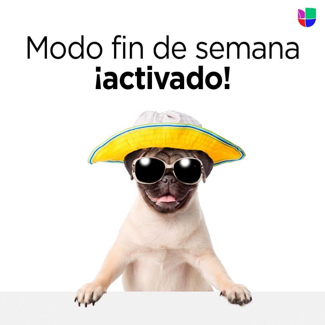 lucesvelezg's tweet photo. https://t.co/KKjEm9QwHr