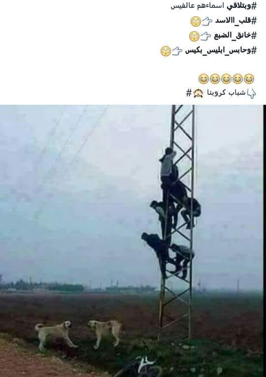 AbAbdalmaged's tweet photo. https://t.co/ceRQCkGbWx