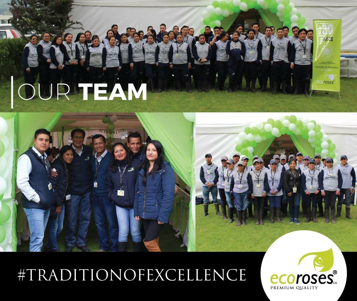 EcorosesSA's tweet photo. Meet our team! Thanks to them, we make great things just for you! #TraditionOfExcellence #premiumqualityroses https://t.co/RNhLBGyy10