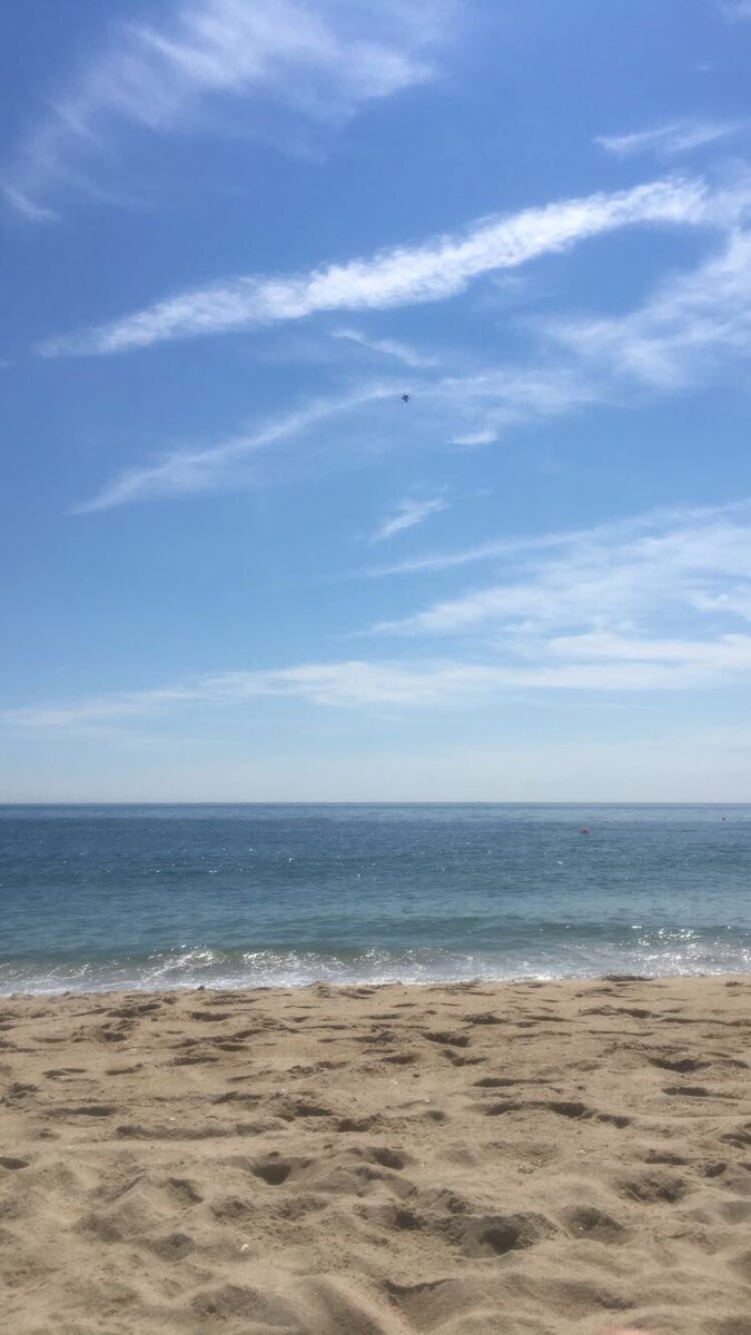 hannahhark__'s tweet photo. Happy World Ocean Day! Preventing pollution and encouraging solutions for a healthy ocean!! you can make a difference today - and everyday🐠🐬🐋🦈🌊🦀🐙 #WorldOceansDay https://t.co/5TCzsPiztI