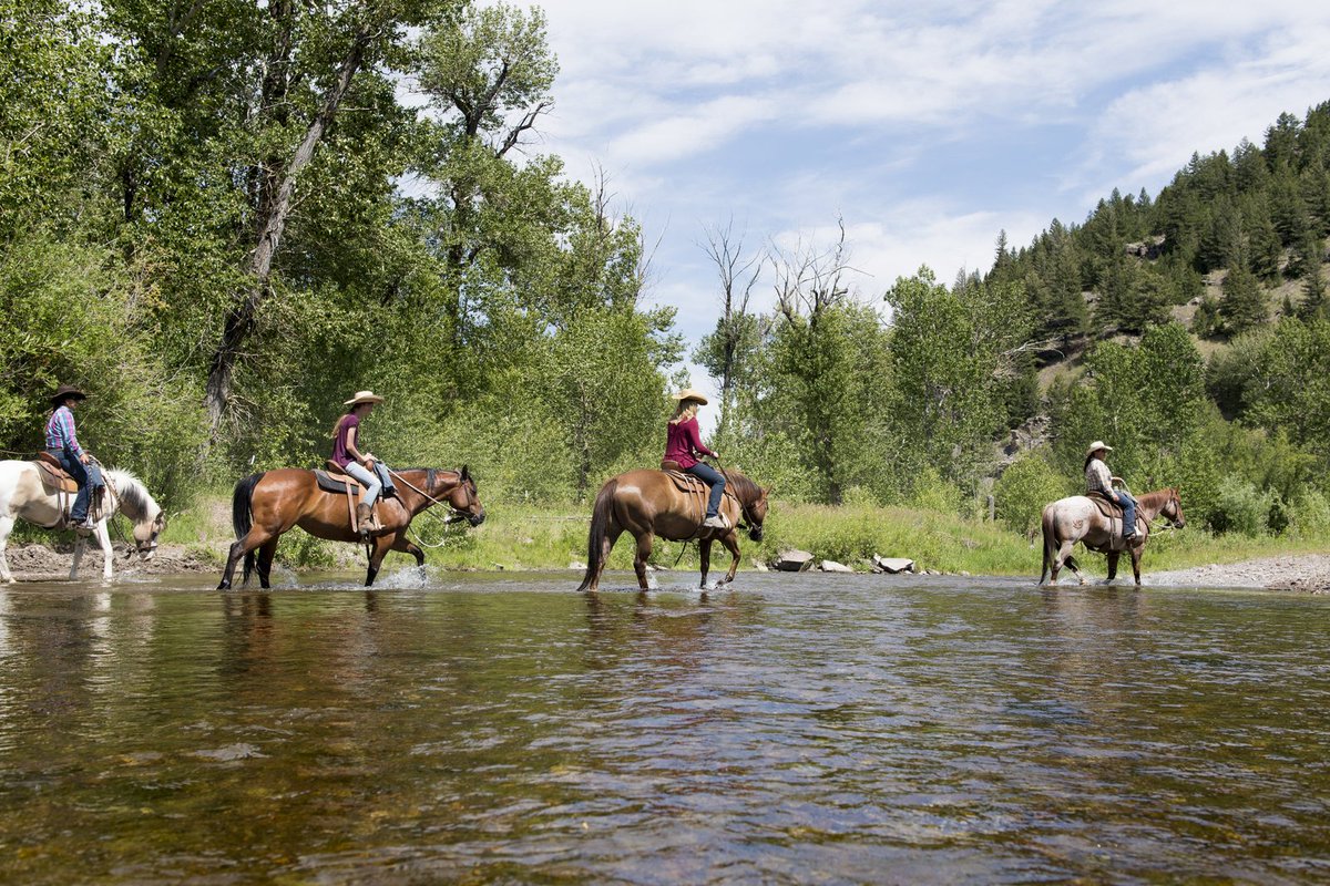 Montana Pressroom tweet media