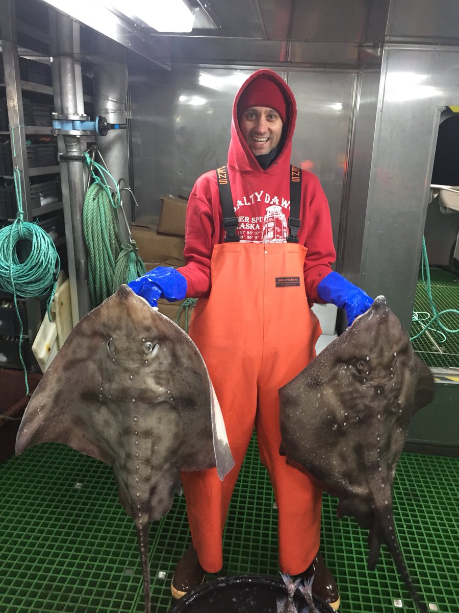 Thomas Farrugia tweet media