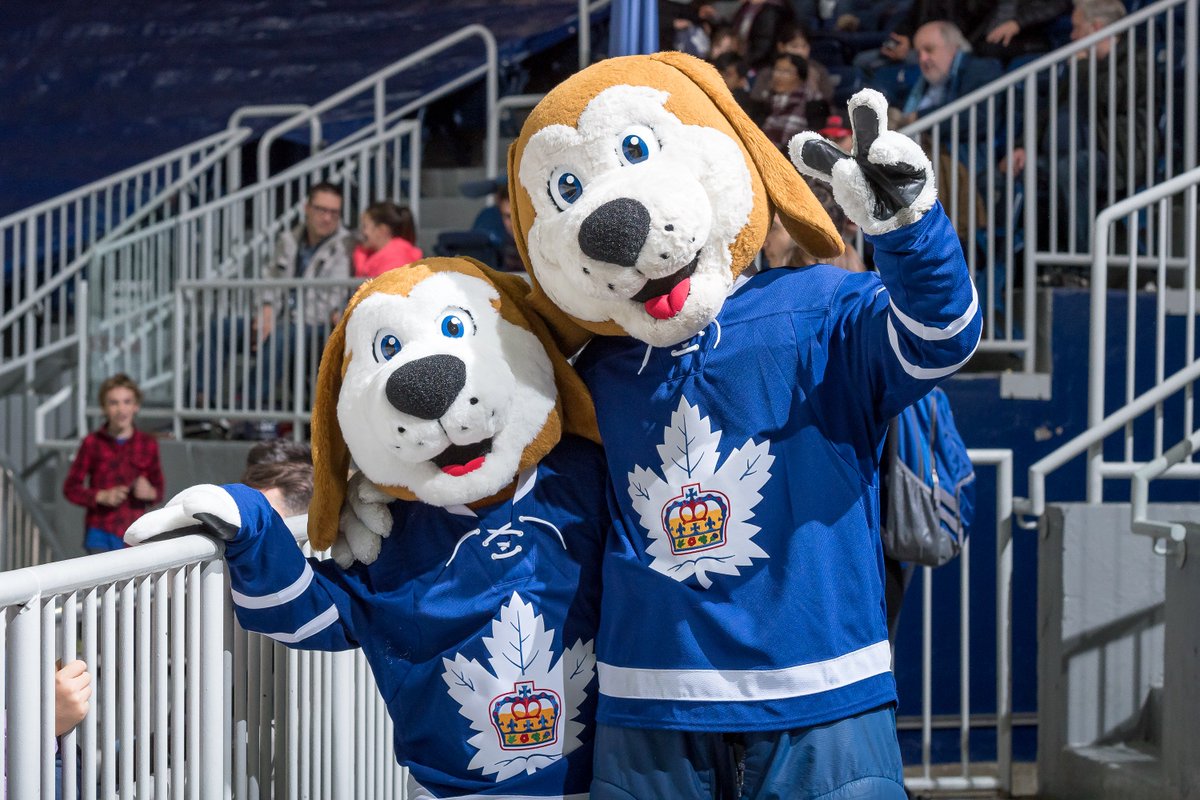 TorontoMarlies's tweet photo. Always standing together. Happy #NationalBestFriendsDay, Marlies fans!

#MarliesLive https://t.co/BTVU6rDZzA