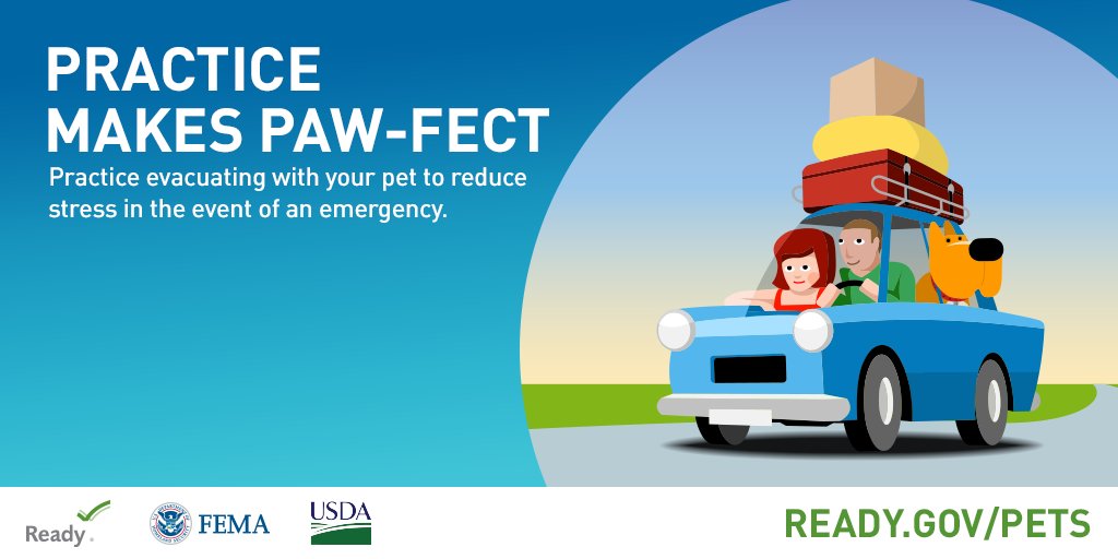 Citizen_Corps's tweet photo. Fido says “take me with you!” Plan to evacuate with your pet and share more tips during National #PetPreparedness Month: https://t.co/r3AdZopbxi https://t.co/MRpPv1c7Dz