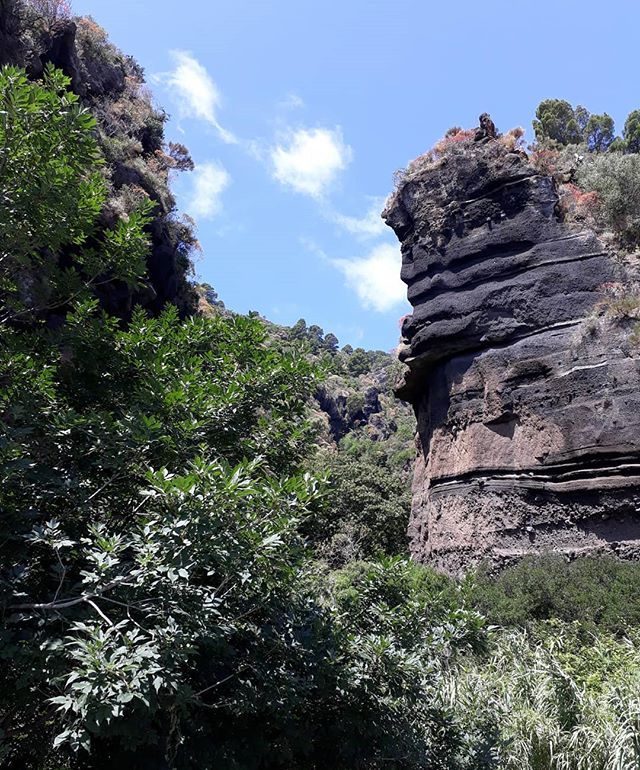 Amazing forms of nature.

#Salina #rock #mountain #nature #trees #hiking #naturetrail #forest #macchiamediterranea #outdoorwoman #trekking #medditeranean #trailsofsicily #szlakamisycylii #natura #szlak #wycieczka #sycylia #przyroda #przygoda #explore #ge… ift.tt/2Hw7ULr