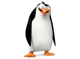 momomust92's tweet image. #MaQuestionExistentielle est: est-ce que les pingouins ont des genoux ?