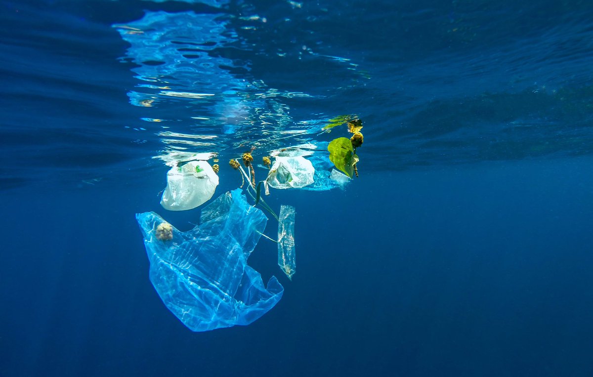 natashapergl's tweet image. To combat plastic in the seas, we are using tech to help educate people to reduce single use plastic. We’ve got 18 organisations signed up already to our #LessPlastic challenge #WorldOceansDay @SAPLeonardo @SAP @stephenjamieson @JonSparrow2