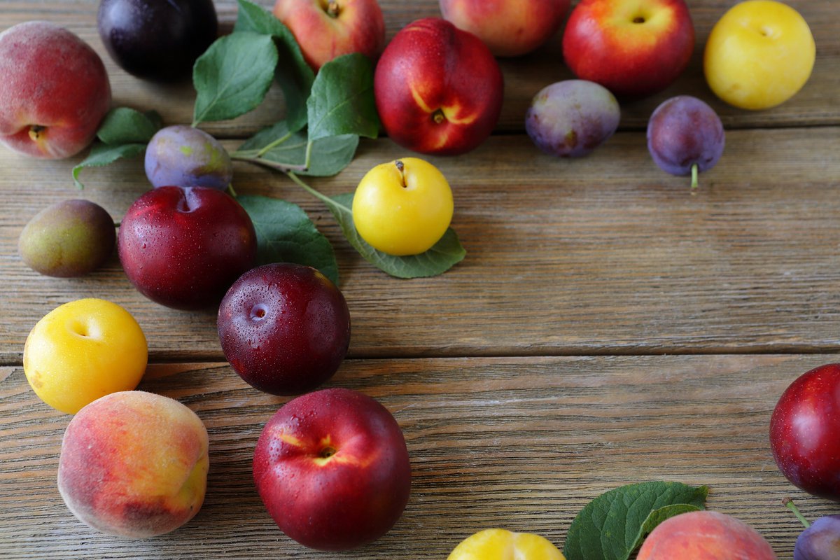 veritableveg's tweet photo. The latest and greatest on delicious stone fruit, figs, melons, squash and much more in this week's #producenotes! #organic https://t.co/au6CLcw1f6 https://t.co/zIPtUJLKgL