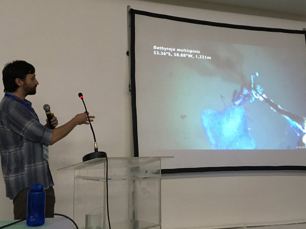 Shark Advocates tweet media