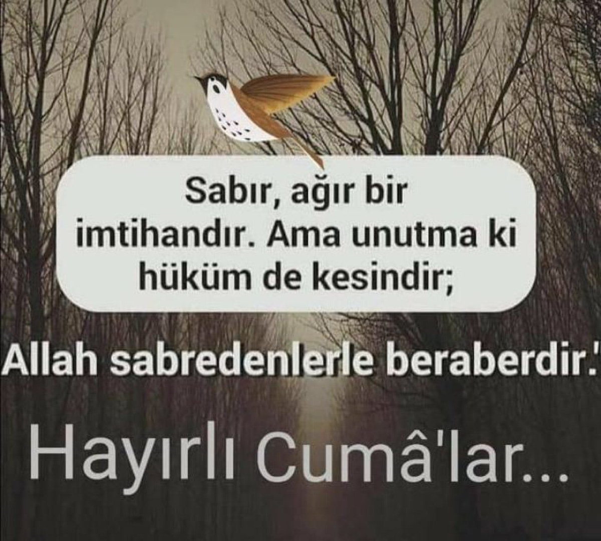 I'm at Demetevler in Yenimahalle, Ankara swarmapp.com/c/gr8KLLXWjl4