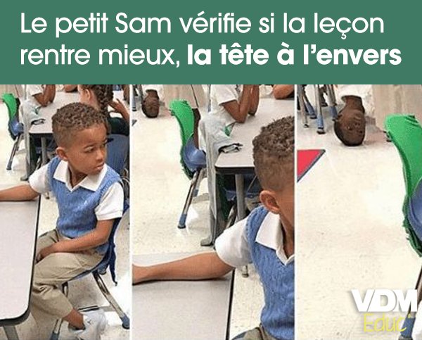 VDM_Educ tweet picture