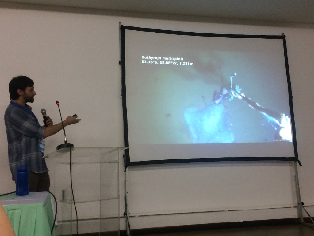 Thomas Farrugia tweet media