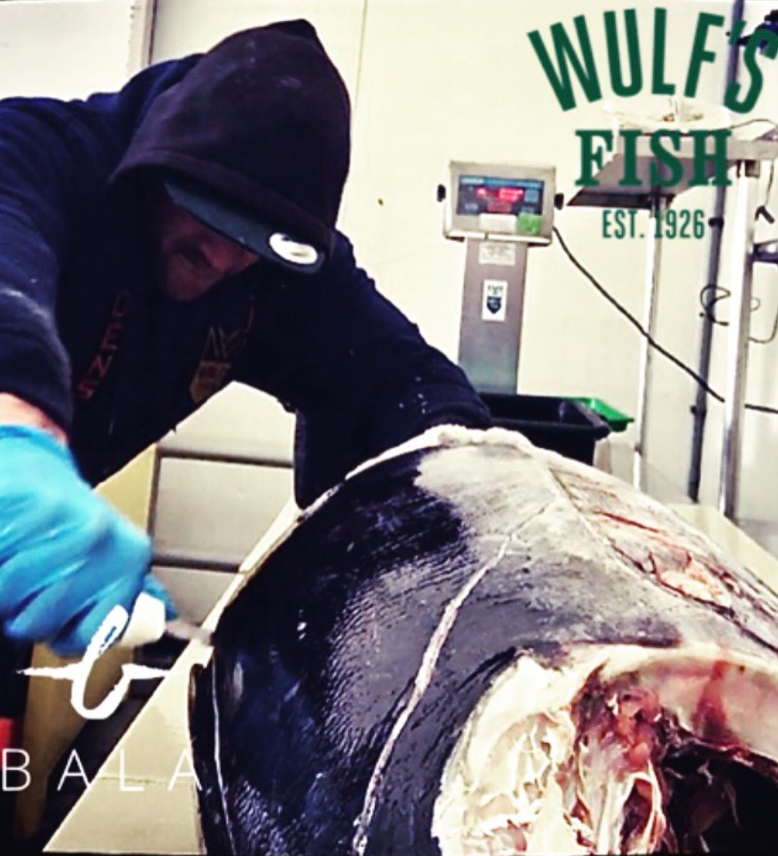 BaracatP's tweet photo. Make today ridiculously amazing, it is Friday . 💪💪💪🔪🐟🔪🐟🔪💥💥🔥🔥🔥 #tuna #FridayMotivation #passion #hardwork #signature https://t.co/JbcdlpYfa4