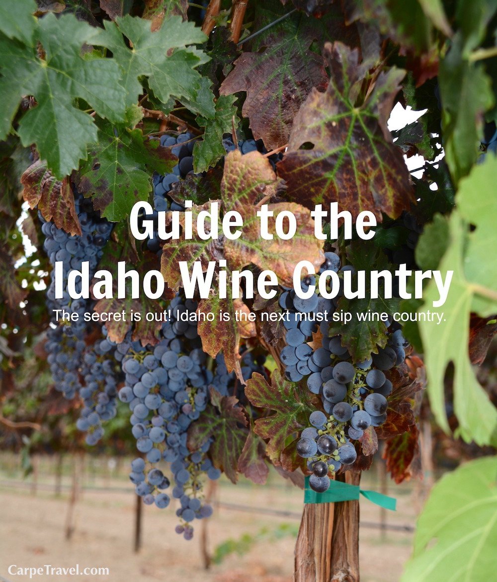 CarpeTravel's tweet photo. The secret is out! Idaho is the next must sip #wine country. https://t.co/sLlWxwapcA
#travel #idahowines https://t.co/msLY9KDS4L