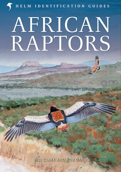 raptours's tweet photo. OK folks and FOMOs out there. We are down to our last 3 spots in this short but exhilarating raptor adventure in South Africa. Book it or miss it. Your call...https://t.co/IhRm7N41CB https://t.co/NcRwViyqWG