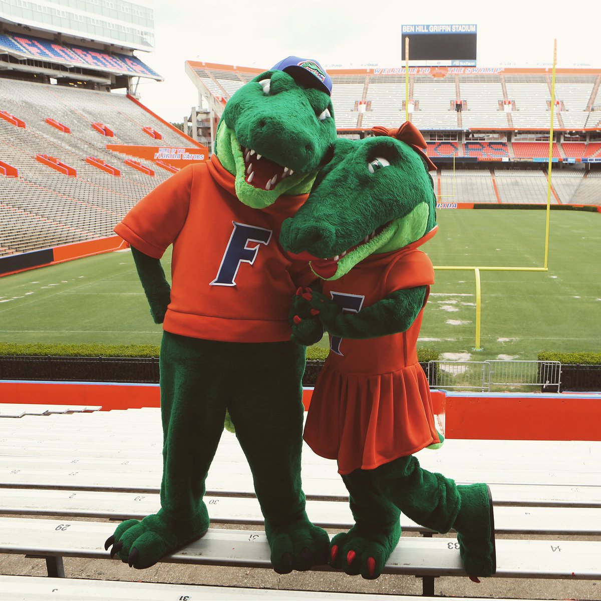 gator growl uf gator growl uf