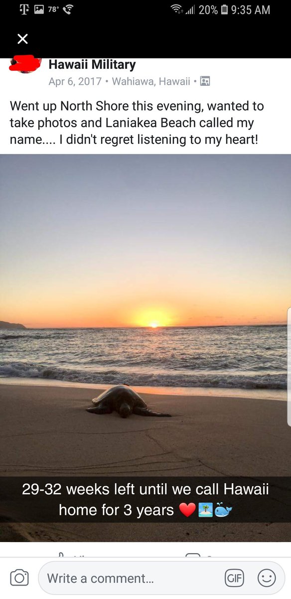 KMixon12's tweet photo. Soon to be home 🤗🏝🐳 https://t.co/4y10fXt5YU