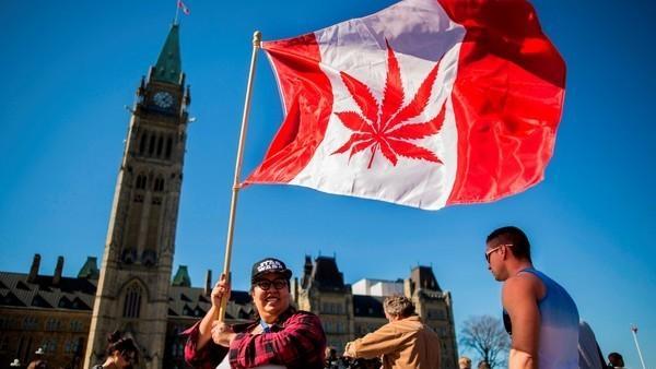 Canadá avanza hacia la legalización de la marihuana con fines recreativos clar.in/2l0SUMt