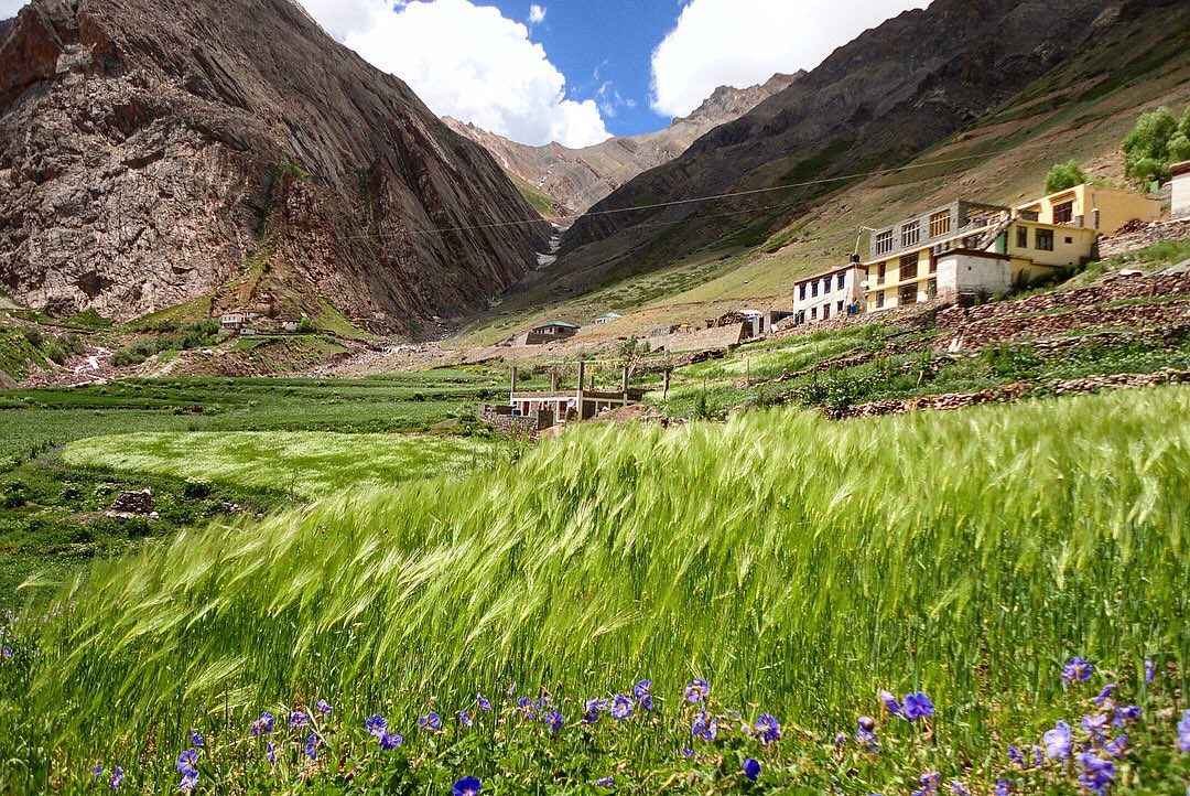 kingchiru15's tweet photo. #pinparvathipass #pinparvathivalley #PinparvathiTrek #SpitiValley #Spiti #SpityTheBeauty #LahaulSpiti #KibberVillage #SmallHamlet #Hamlet #KeyMonastery #keemonastery #KiMonastery #BeautifulValley #ScenicVillages #TibetBorder #picturesqueVilages #Hikkim 😊👍🏻 https://t.co/MBWZvBuEex