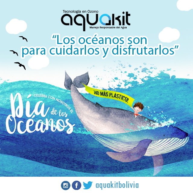 Celebramos el Día Mundial de los Océanos para recordar a todo el mundo el gran papel que los océanos juegan en nuestras vidas. Son los pulmones de nuestro planeta, que generan la mayoría del oxígeno que respiramos.

Asimismo, sirve para concienciar a la opinión pública sobre…
